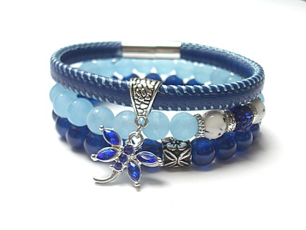 Blue dragonfly /27-01-16/ set